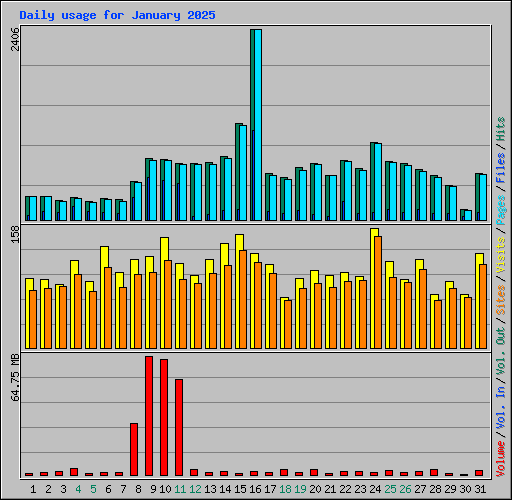 Daily usage for January 2025