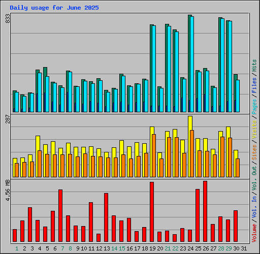 Daily usage for June 2025