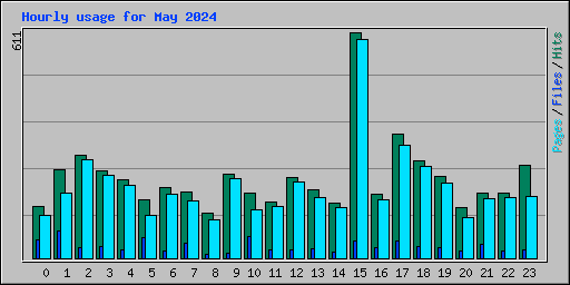 Hourly usage for May 2024