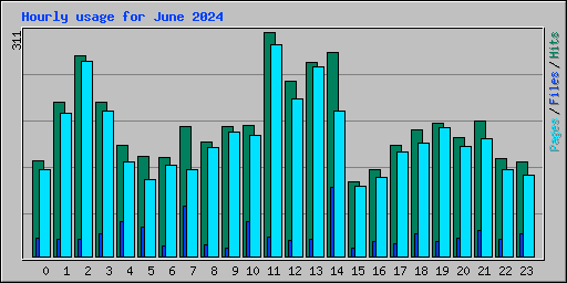 Hourly usage for June 2024