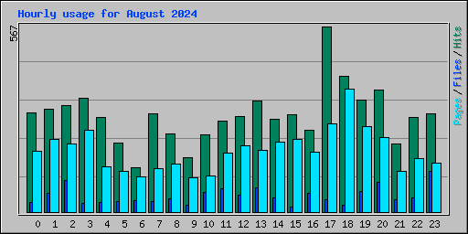 Hourly usage for August 2024