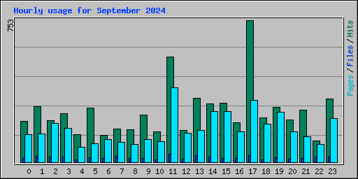 Hourly usage for September 2024