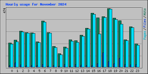 Hourly usage for November 2024