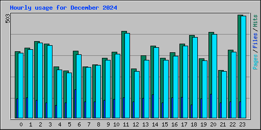 Hourly usage for December 2024