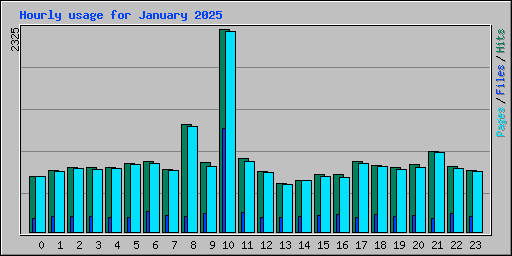 Hourly usage for January 2025