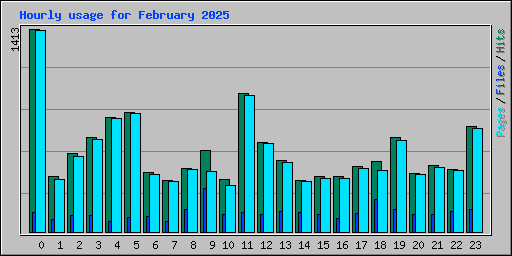 Hourly usage for February 2025