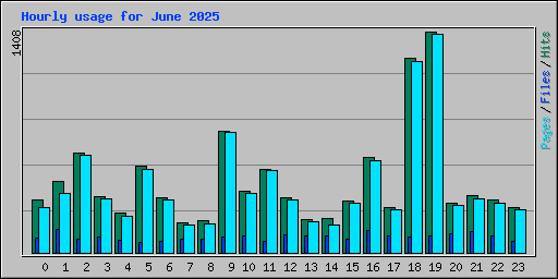 Hourly usage for June 2025