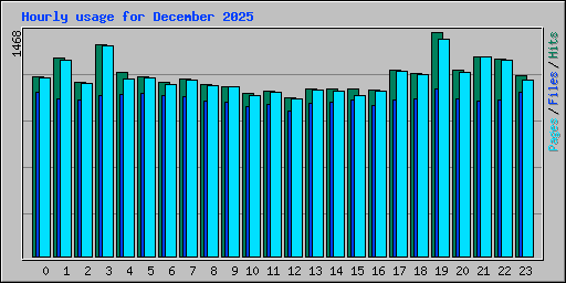Hourly usage for December 2025