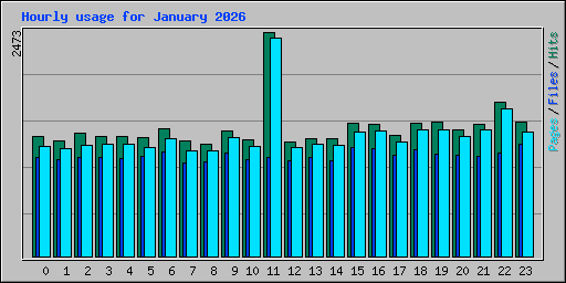 Hourly usage for January 2026