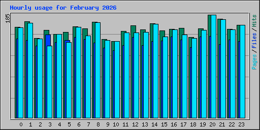 Hourly usage for February 2026