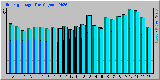 Hourly usage for August 2026