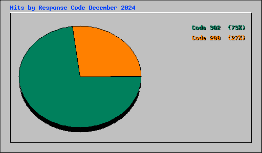 Hits by Response Code December 2024