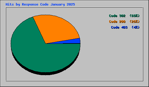 Hits by Response Code January 2025