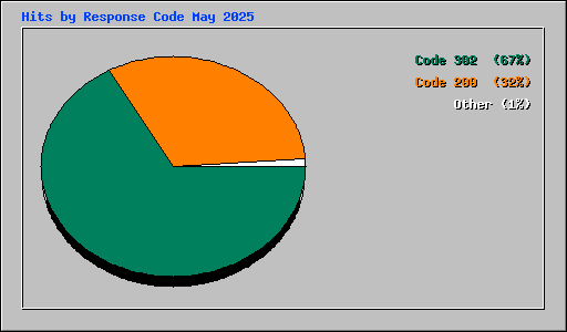 Hits by Response Code May 2025